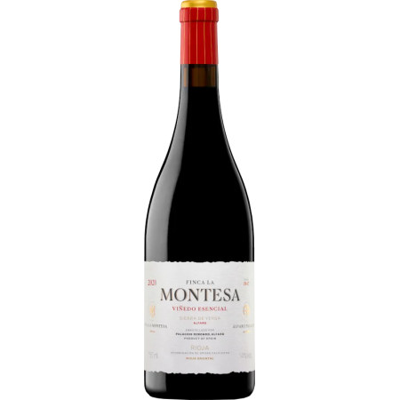 Ultreia Saint Jacques 2022