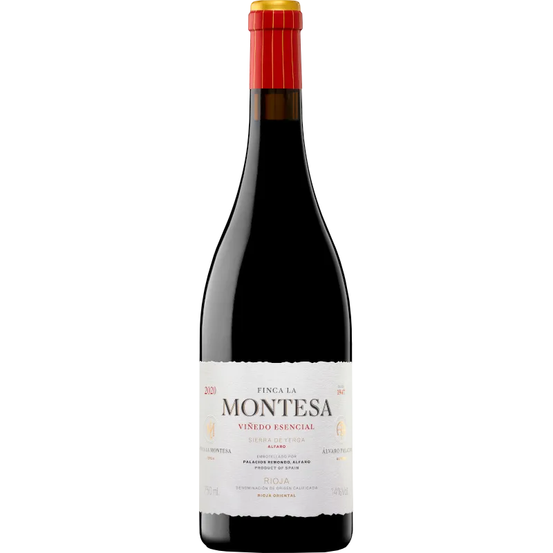 Ultreia Saint Jacques 2022