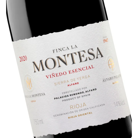 Ultreia Saint Jacques 2022